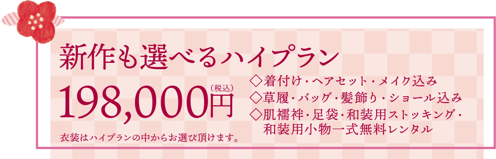 新作も選べるハイプラン　198,000円(税込)