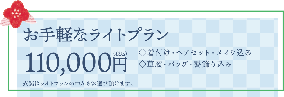 お手軽なライトプラン　110,000円(税込)