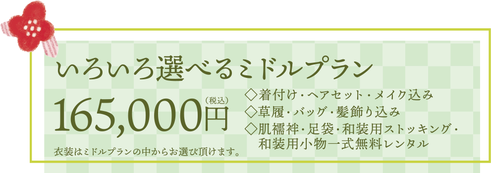 いろいろ選べるミドルプラン　165,000円(税込)